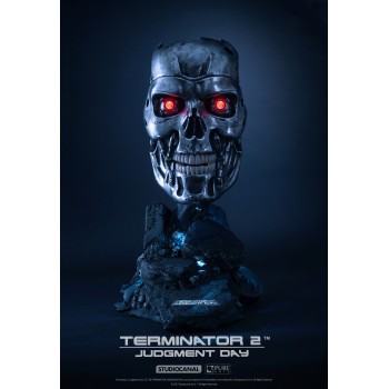 Terminator 2 T-800 Endoskeleton 1/1 scale Art Mask